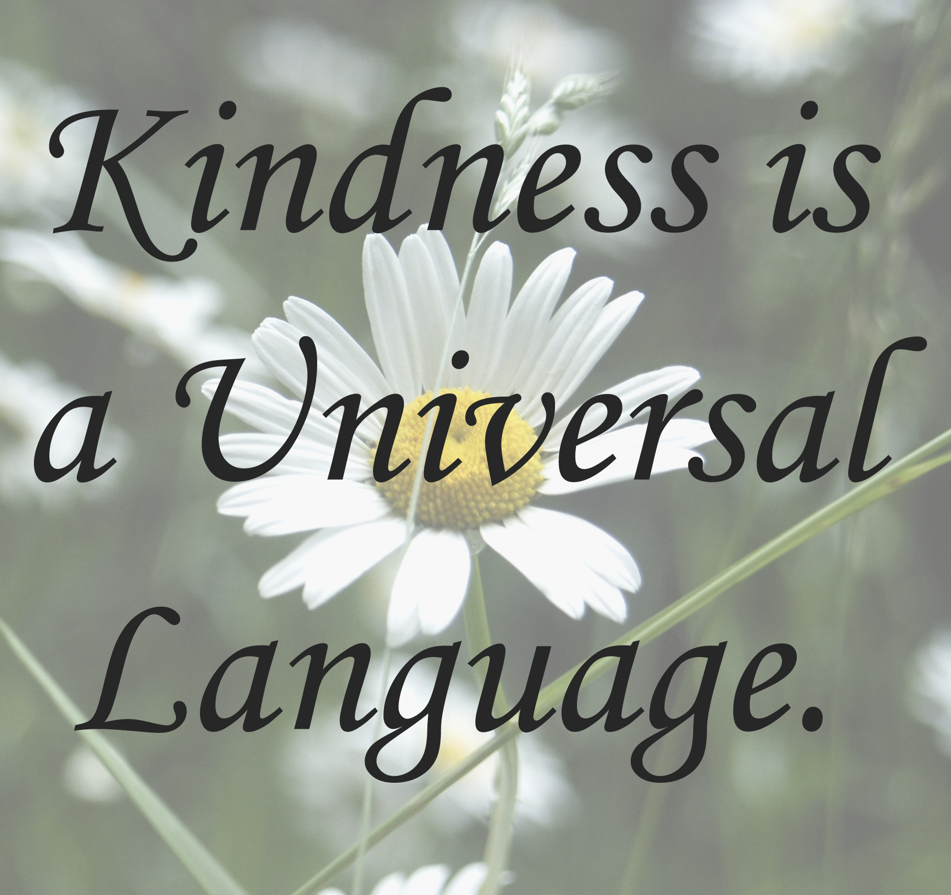 Kindness